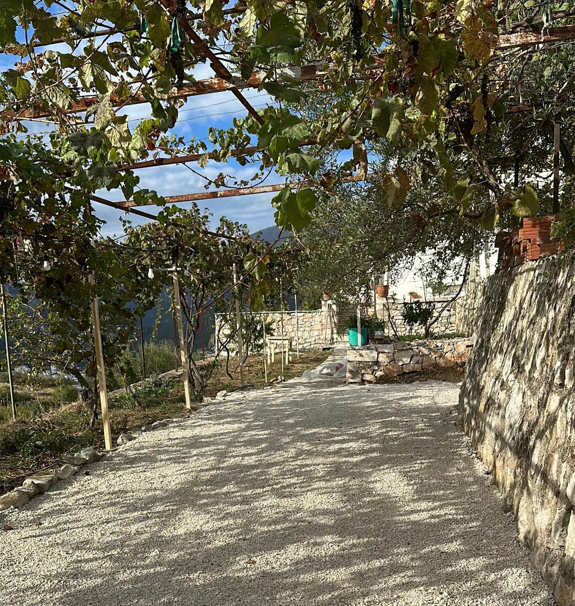 Hostel On The Hill - By Filikuri Beach Himarë Dış mekan fotoğraf